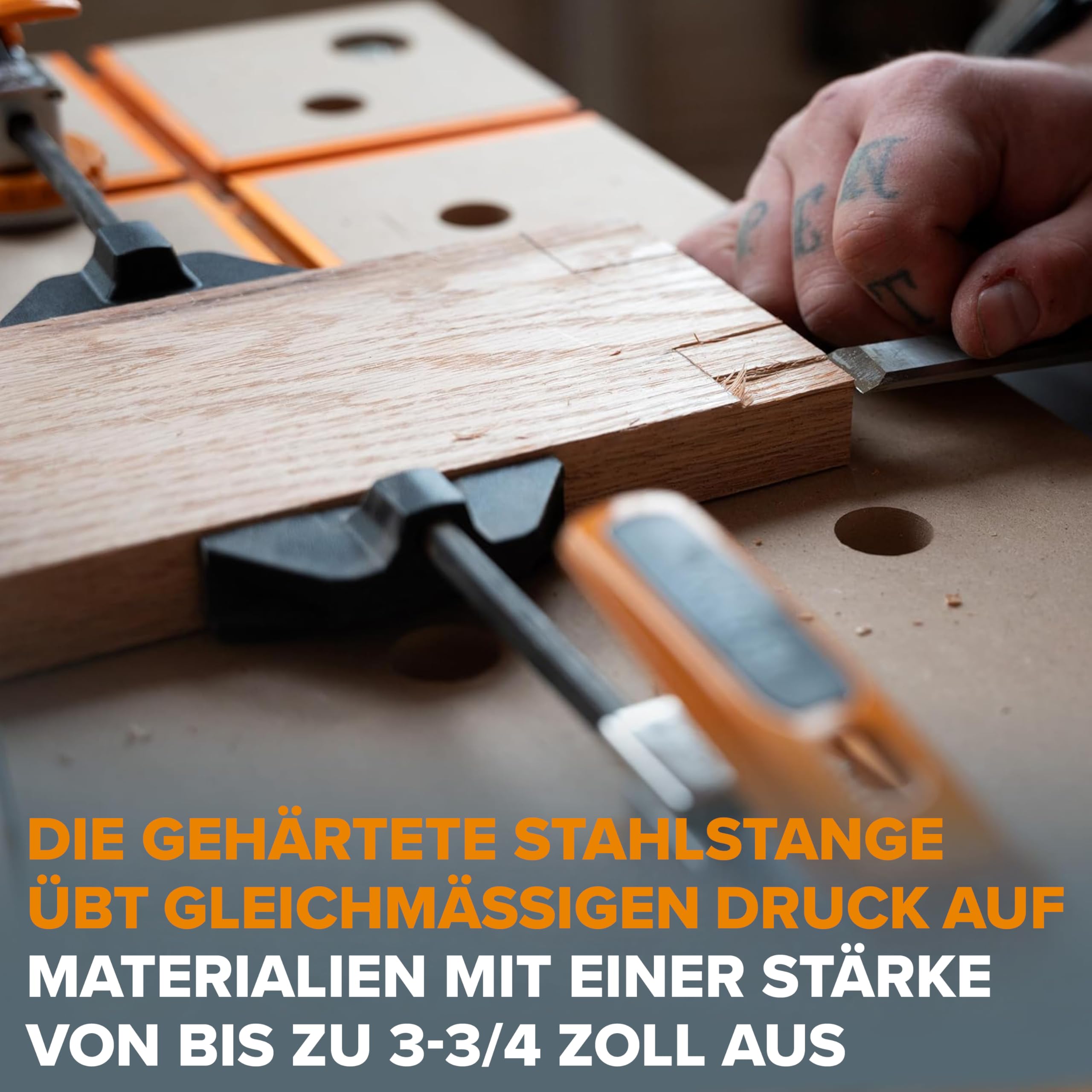 bora-dog-clamp-20-mm-hundloch-auto-adjust-11-250-kg image 5