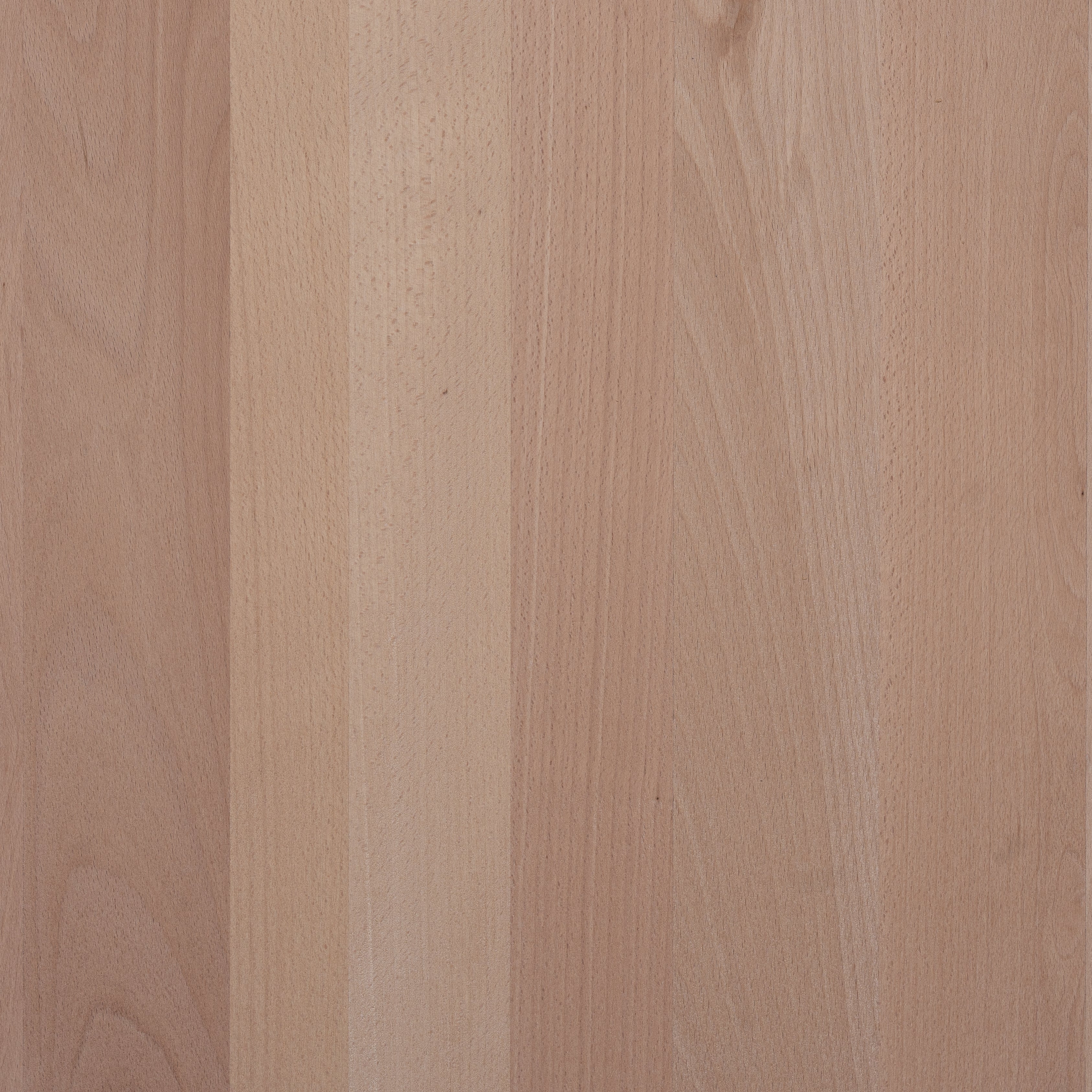 arctic-holz-buche-dgl-ab-1900x650x45-leimholzplatte-45-mm image 1